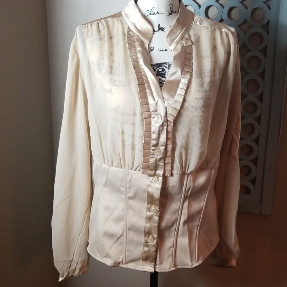 Satiny Bustier Blouse